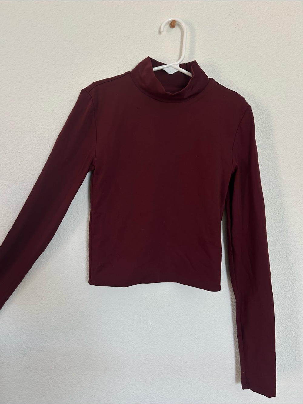 Aritzia Burgundy Long Sleeve Turtleneck Top